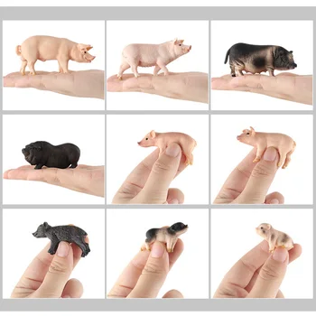 Simulācijas Cūku Dzīvnieku Attēls Kolekcionējamu Rotaļlietu Gudrs Cūku Dzīvnieku Darbības Rādītāji Bērniem Maza Izmēra Mīkstas Gumijas Rotaļlietas